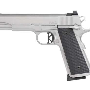 CZ DW VALOR 45ACP SS/POLY 8+1 NS