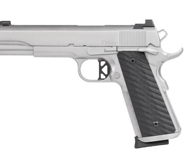 CZ DW VALOR 45ACP SS/POLY 8+1 NS