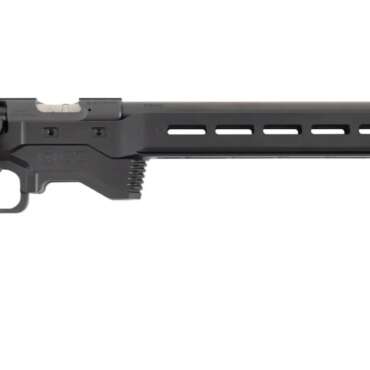 CZ 457 VARMINT PREC 22LR MTR MDT