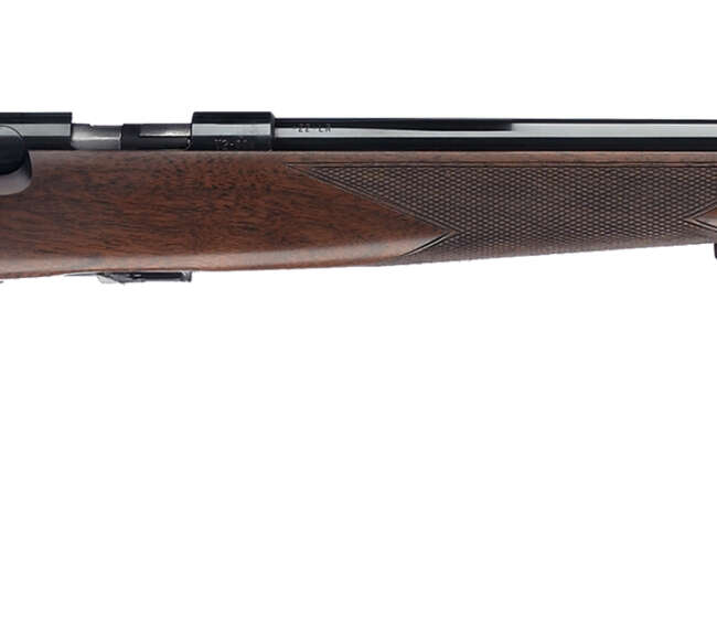 BRN T-BOLT SPRTR RFL 22LR B