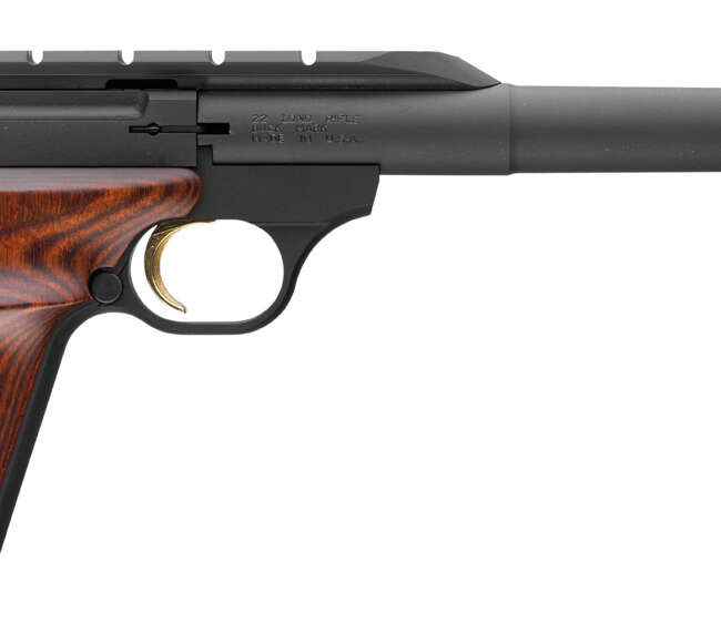 BRN BM HUNTER 22LR PST 10RD