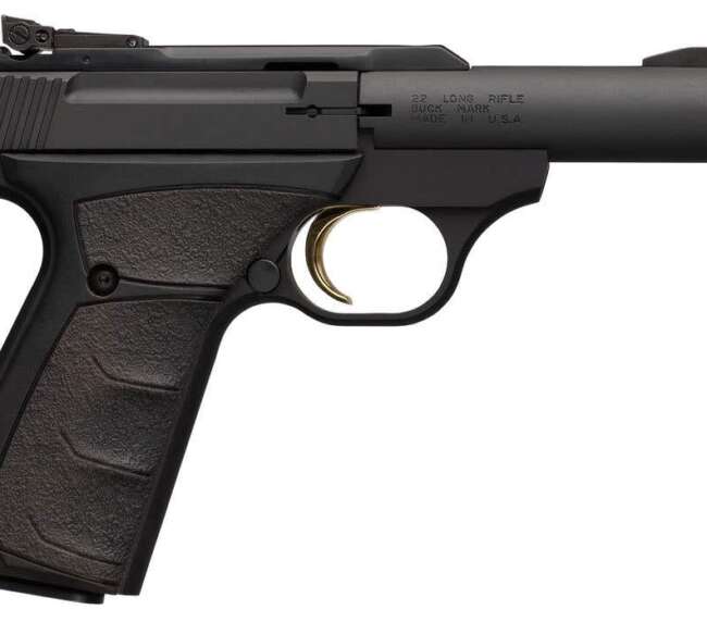 BRN BM MIC BULL 22LR PST B 10R