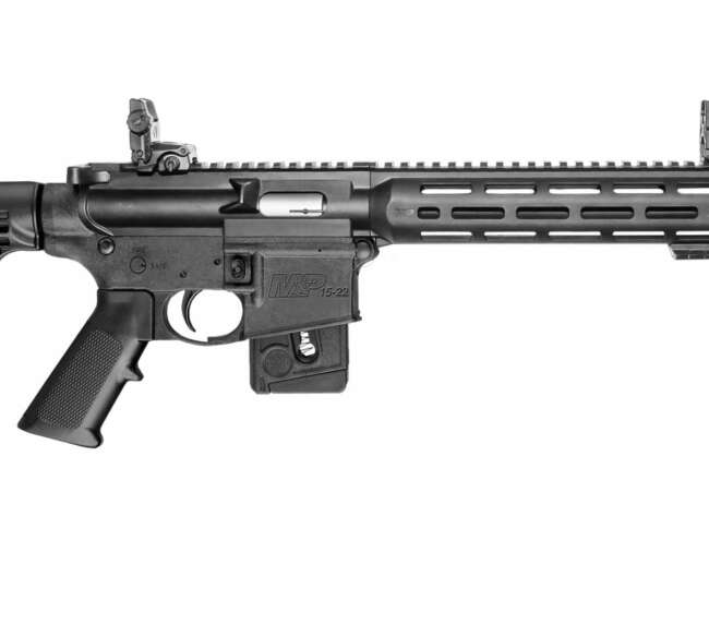 SMITH AND WESSON M&P15-22 SPORT 22LR 10+1 CA