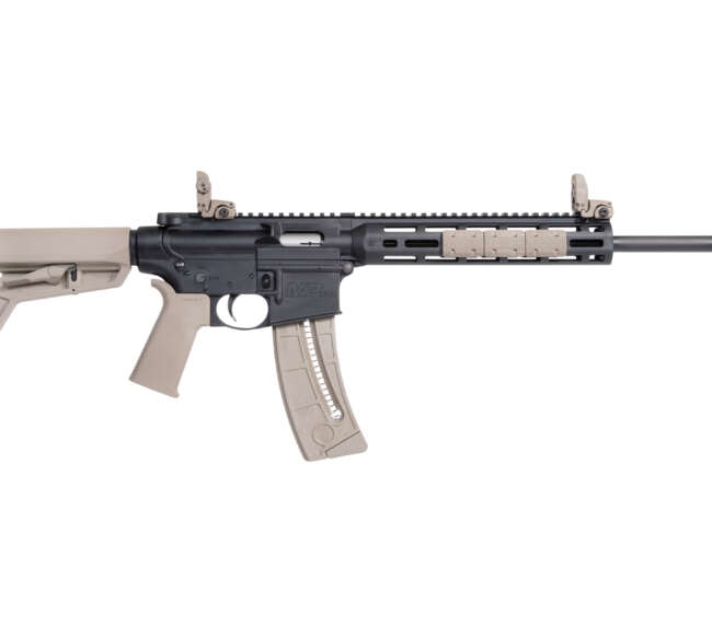 SMITH AND WESSON M&P15-22 SPORT MOE SL 22LR FDE