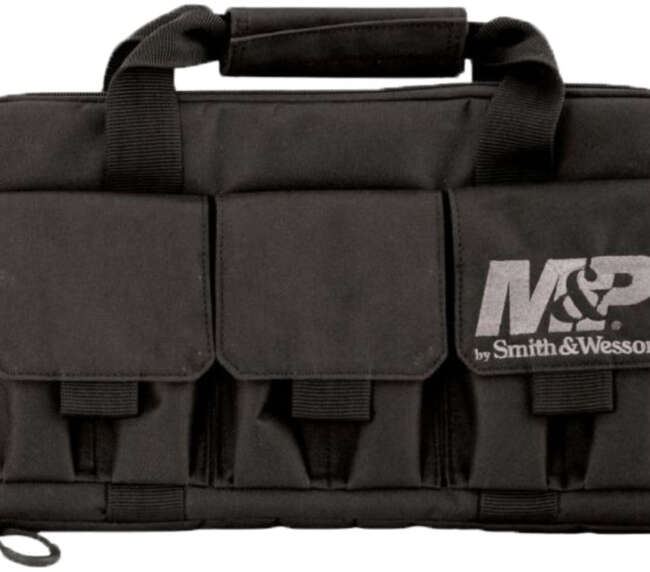 SWA PRO TAC PIST CASE DBL