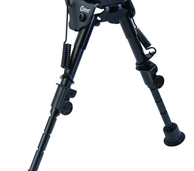 CAL XLA RAIL BIPD 6-9