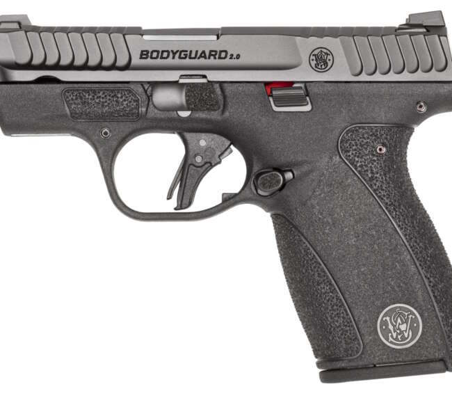 SMITH AND WESSON BODYGUARD 2.0 380ACP 12+1 NTS