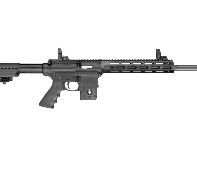 SMITH AND WESSON M&P15-22 PC SPORT 22LR COMP