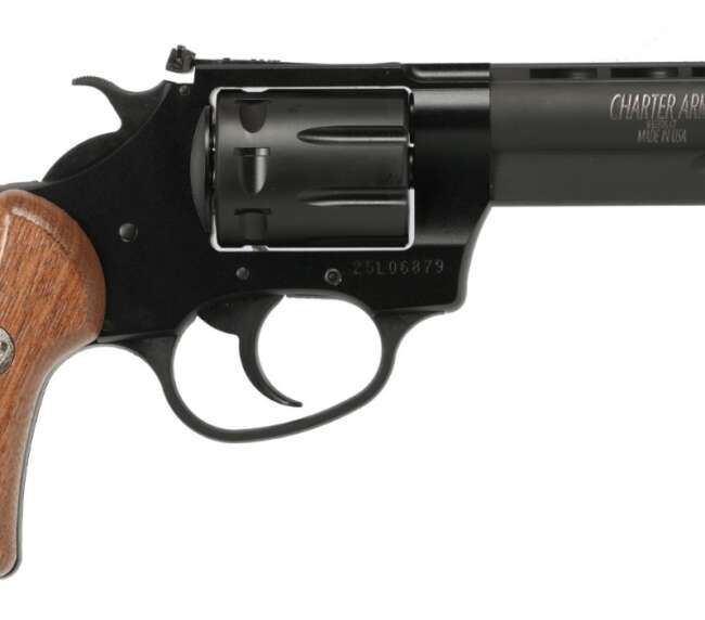 CHARTER ARMS PATHFINDER II 22LR BLK/WD 3.5"