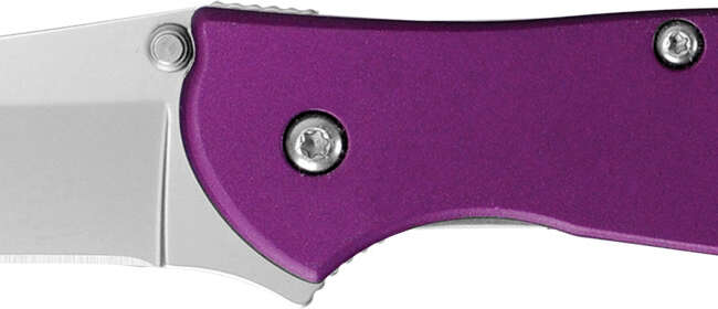 KER LEEK PURPLE 3 DP