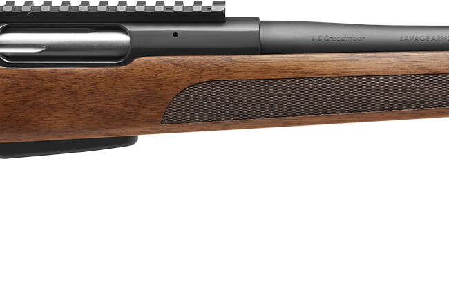 SAV STV 334 308 WALNUT 20B