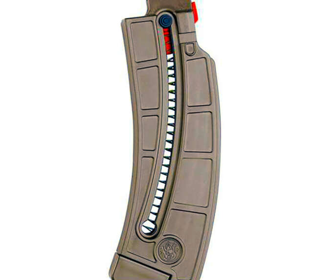 S&W MAG MP15-22 22LR 25RD FDE