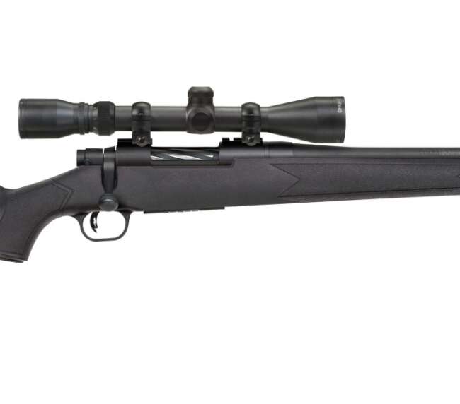 MOSSBERG PATRIOT SPR BANT 243 SYN PKG
