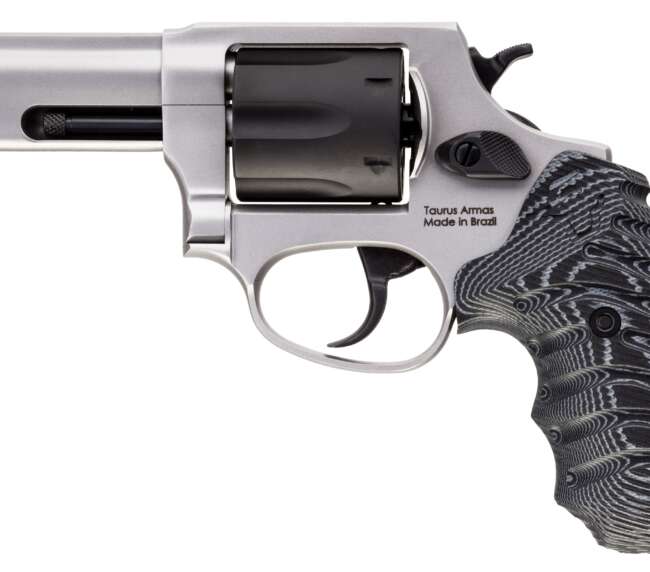 TAURUS 856 38SP SS 3" 6SHOT NS VZ CA