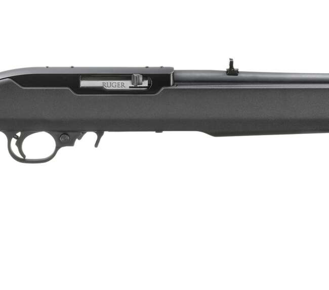 RUGER 10/22 22LR BLK/SYN MOE X22   #
