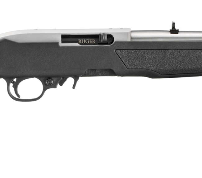 RUG 10/22 22LR 16 TB SS