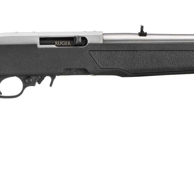 RUG 10/22 22LR 18 SS