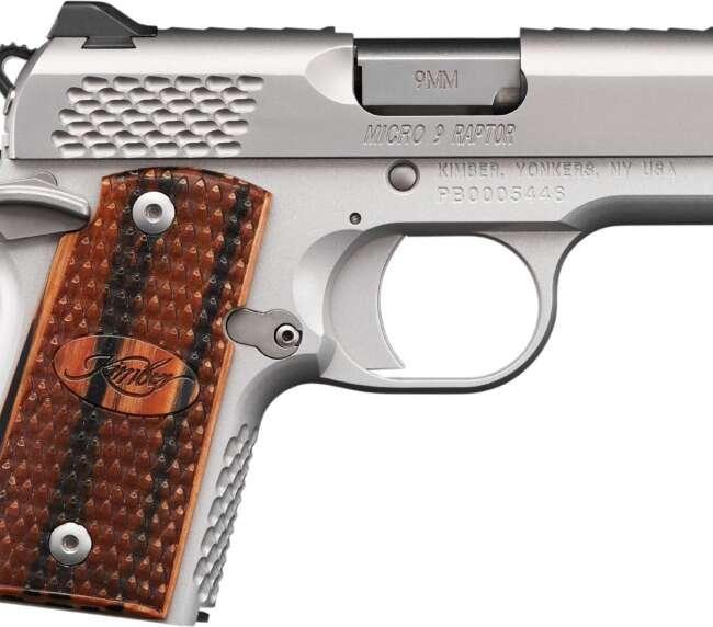KIMBER MICRO 9MM 3.15" SS RAPTOR