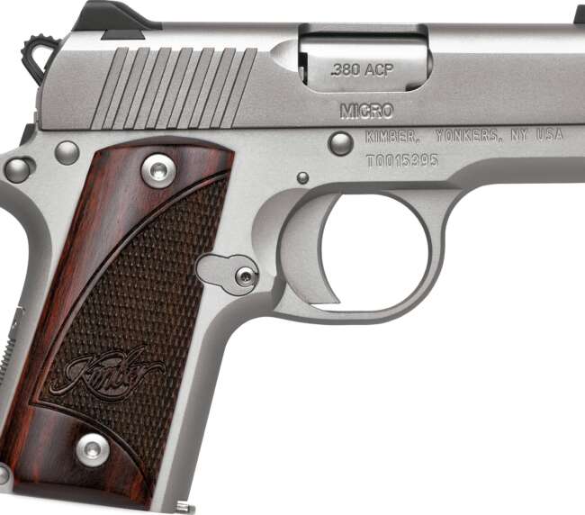 KIMBER MICRO SS RW 380ACP 2.75" NS