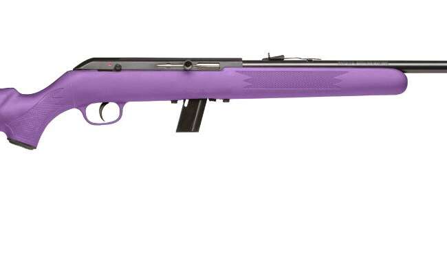 SAVAGE ARMS 64 SEMI-AUTO 22LR PURPLE 10+1