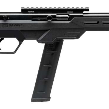 SAVAGE ARMS 64 PRECISION 22LR BL/BK 20+1