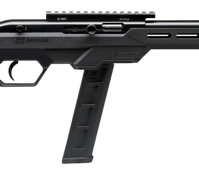 SAVAGE ARMS 64 PRECISION 22LR BL/BK 20+1