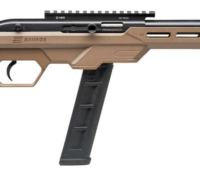 SAVAGE ARMS 64 PRECISION 22LR BL/FDE 20+1