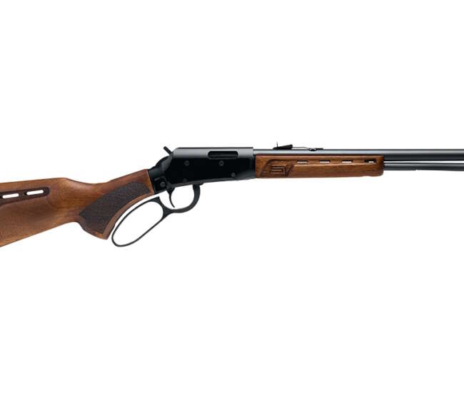SAVAGE ARMS REVEL DLX 22LR 18" WD/BL 12+1