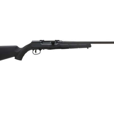 SAV A17 HVY BBL 17HMR SA 10RD