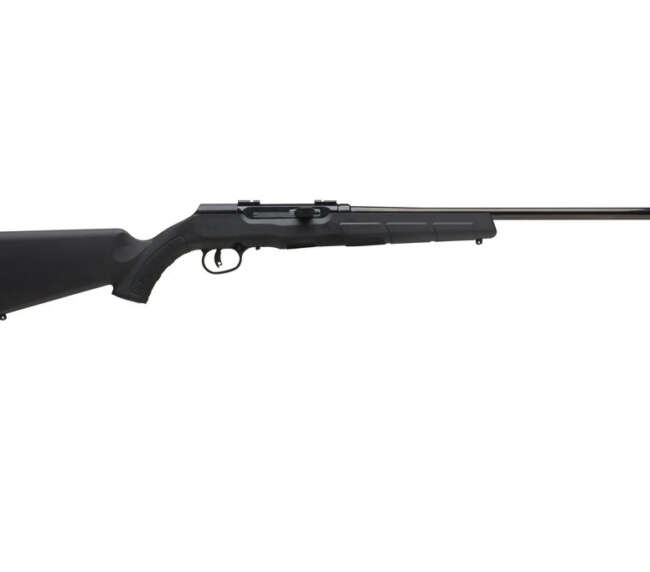 SAV A17 HVY BBL 17HMR SA 10RD