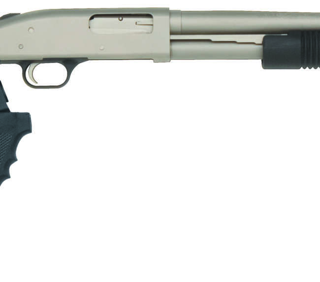 MOS 590 12M/20CB 8SHT SYN&PG