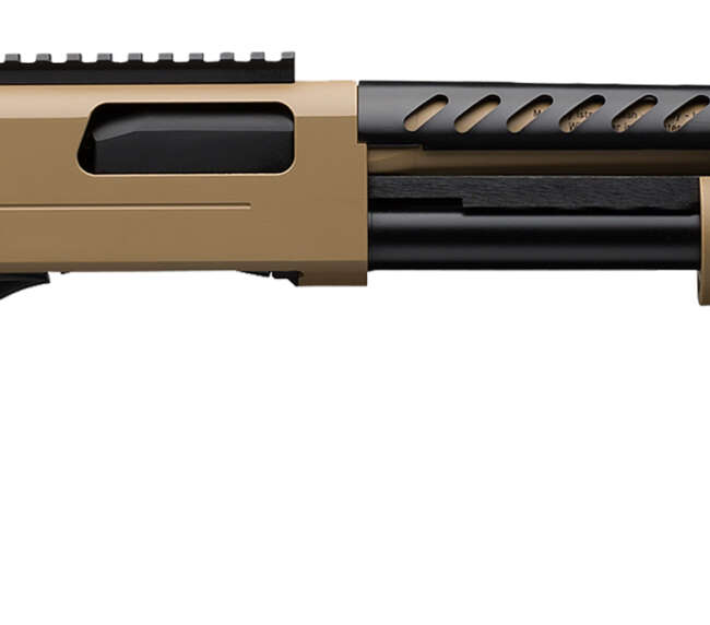 WRA SXP EXT DEF FDE 12M/18C