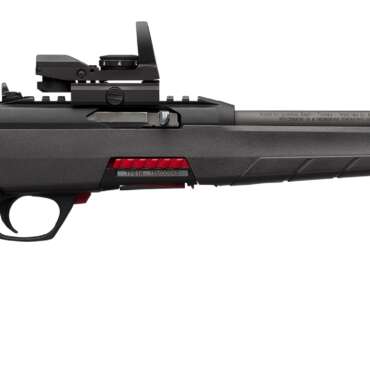 WINCHESTER WILDCAT 22LR 18" BL/SY COMBO #