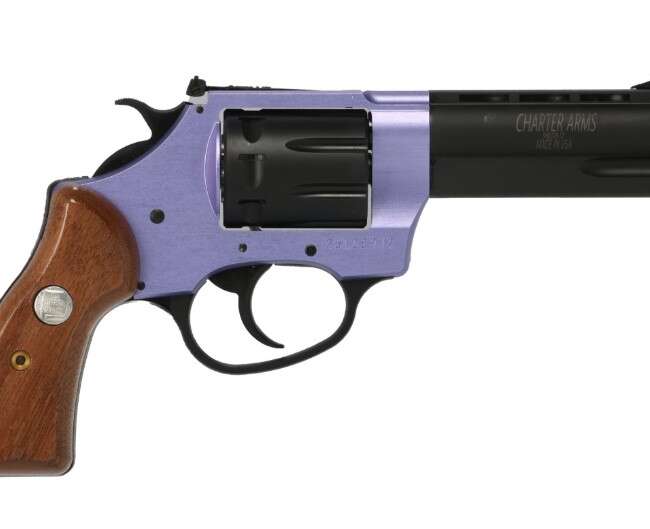 CHARTER ARMS PATHFINDER II 22LR LAV/WD 3.5"