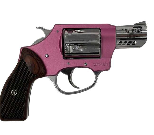 CHARTER ARMS COYOTE 380ACP PINK/SS 2" 5RD