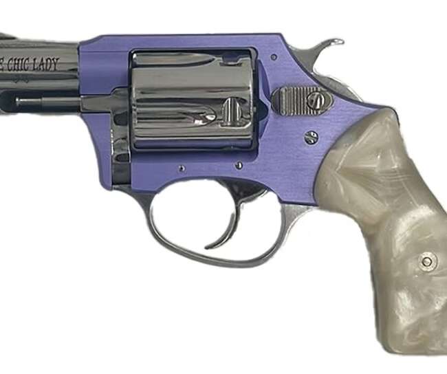 CHARTER ARMS CHARTER CHIC LADY 38SPC LAV/SS