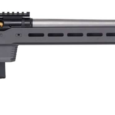 SAVAGE ARMS 110 ELITE PRECISION 300WIN