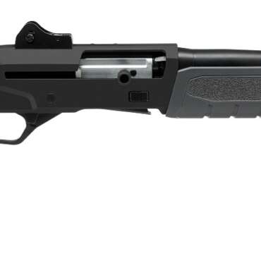 SAV RENEGAUGE SEC SA 12M/18MC