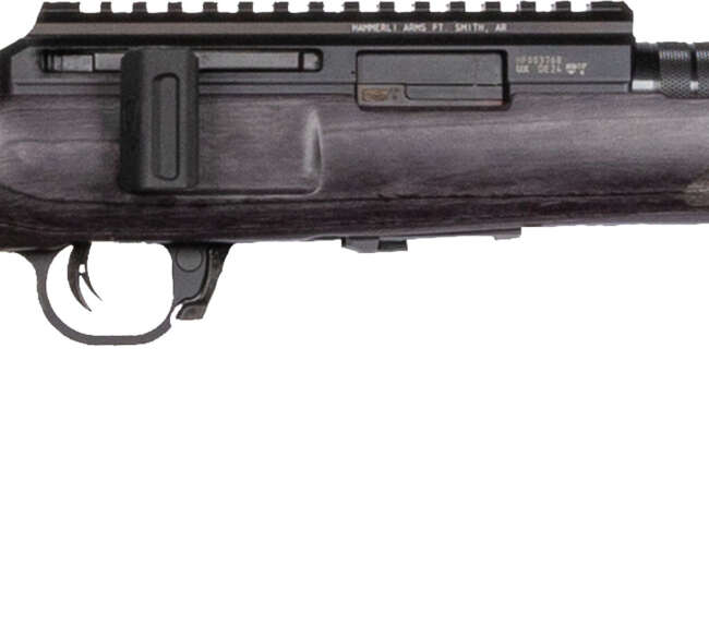 WAI HAM FRC B1 22LR GRY 10RD