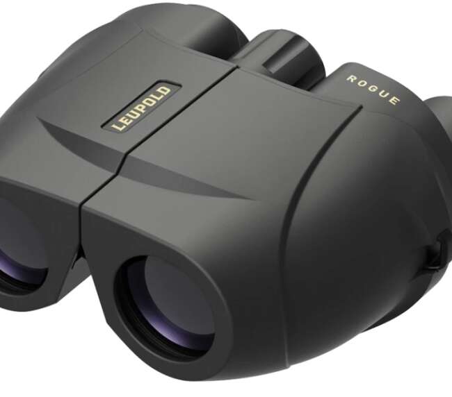 LEUPOLD BINOCULAR BX1 ROGUE 8X25  BLK