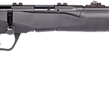 SAV B22F COMP 22LR BA 10RD SYN