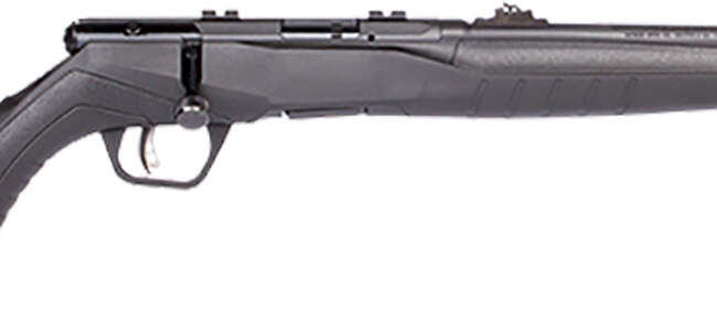 SAV B22F COMP 22LR BA 10RD SYN