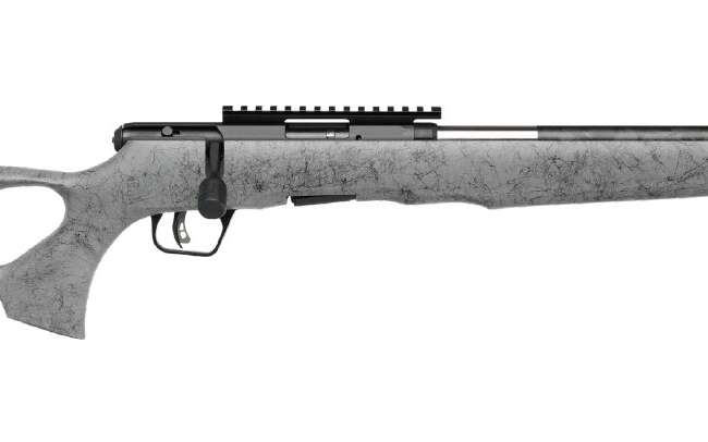 SAVAGE ARMS B17 17HMR BL/GRY 18" CARBON TB