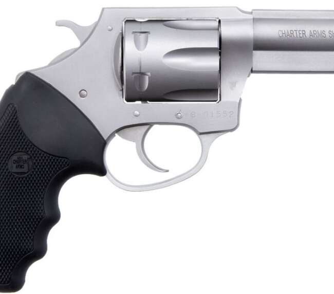 CHT PITBULL 380 DA REV 3SS