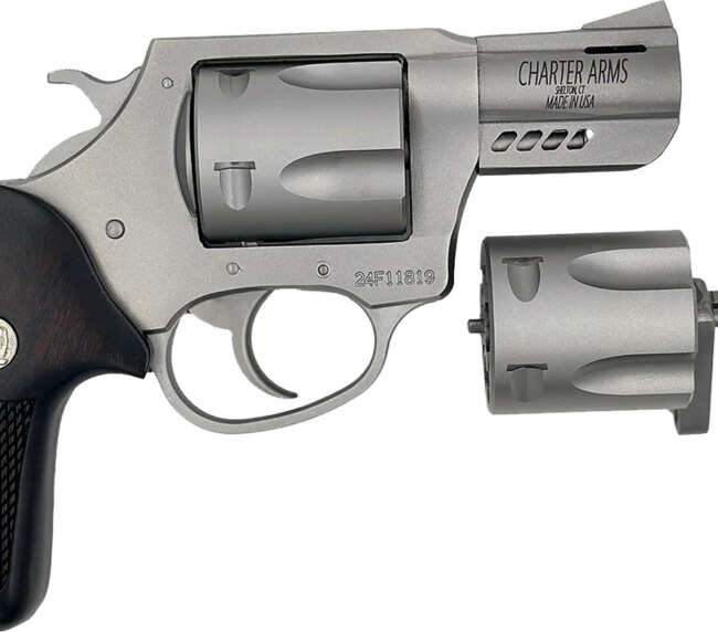 CHT DOUBLE DOG 357 DA 2SS