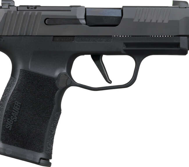 SIG P365XL COMP 380 12R XRY