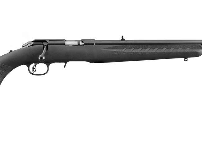 RUGER AMERICAN 22LR BL/SY 22"