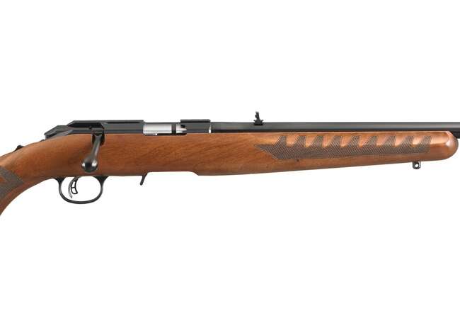 RUGER AMERICAN 22LR BL/WD 22" 10+1 #