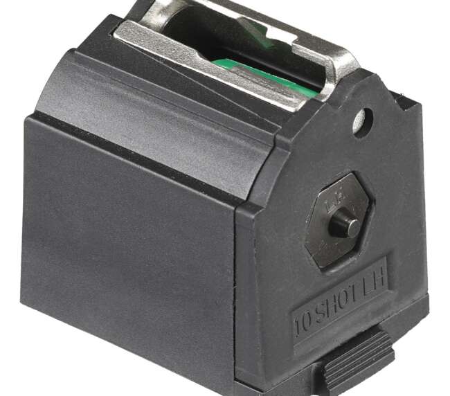 RUG MAG 10/22 22LR 10RD LH