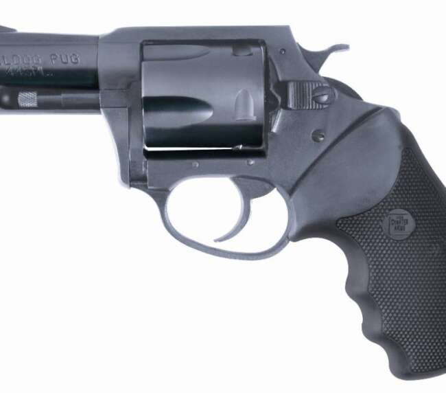 CHARTER ARMS BULLDOG 44SPC BL 2.5"